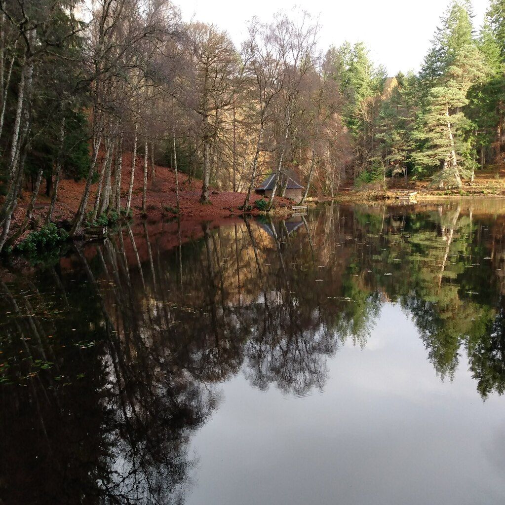 Outlander Filming Locations: Faskally Wood