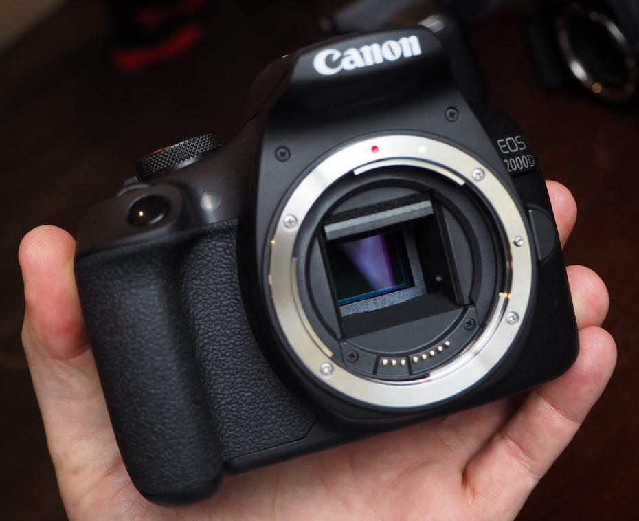 Canon EOS 2000D Review: Canon EOS 2000D 24mp (13)