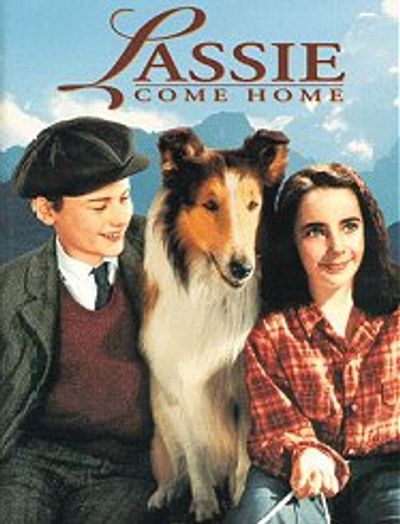 Lassie Come Home movie cover