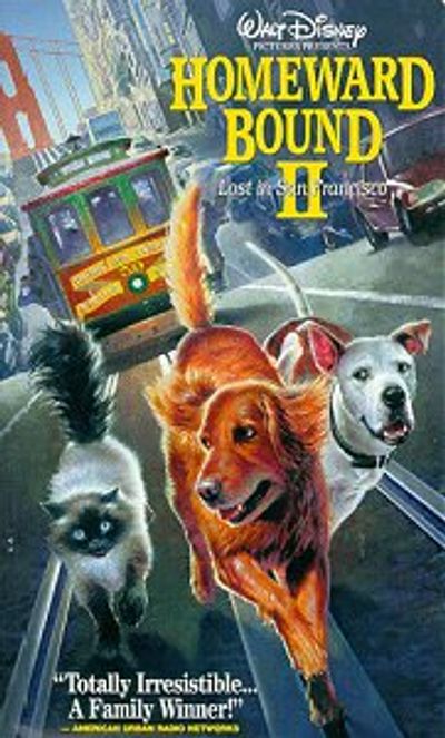 Homeward Bound II: Lost in San Francisco  movie cover