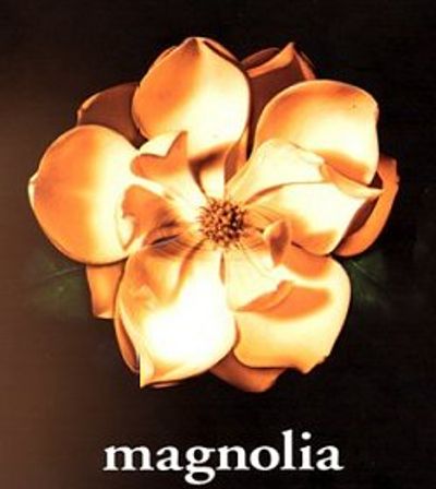 Magnolia movie cover