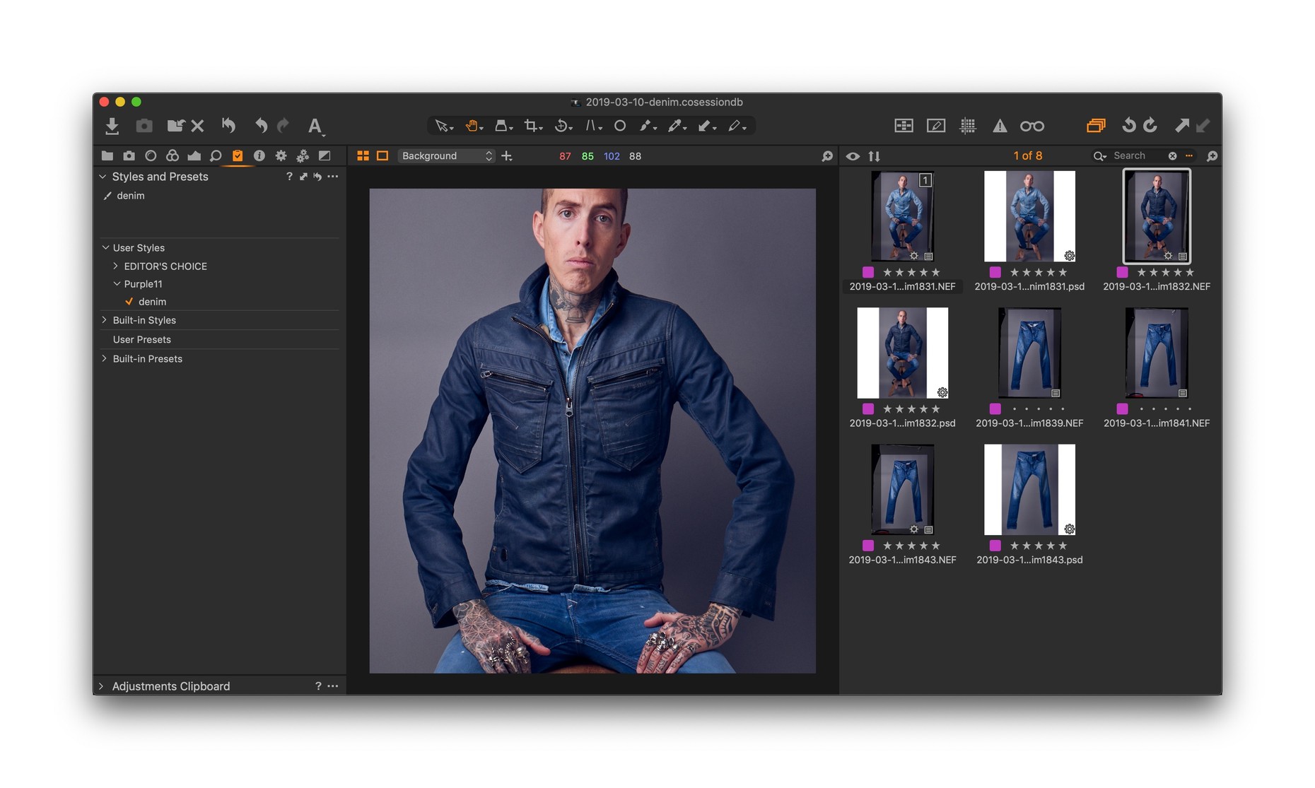 capture one search presets styles