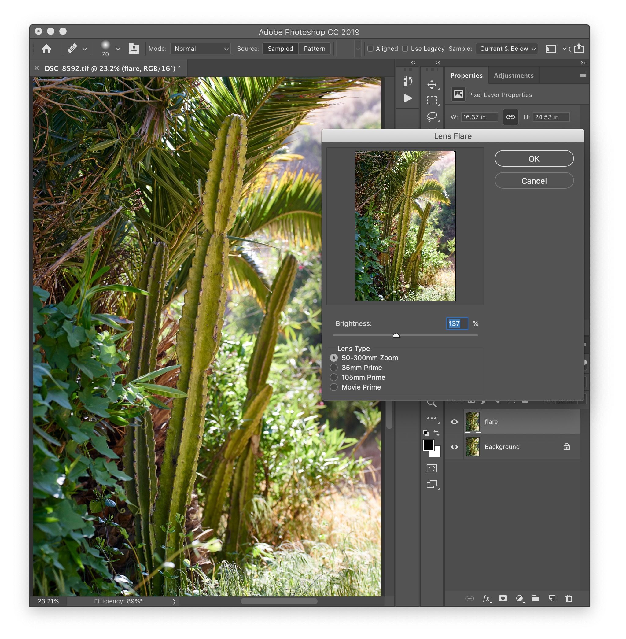 uitzetten Frustratie Vulgariteit How to Add a Natural-Looking Lens Flare in Photoshop • Giggster Guide