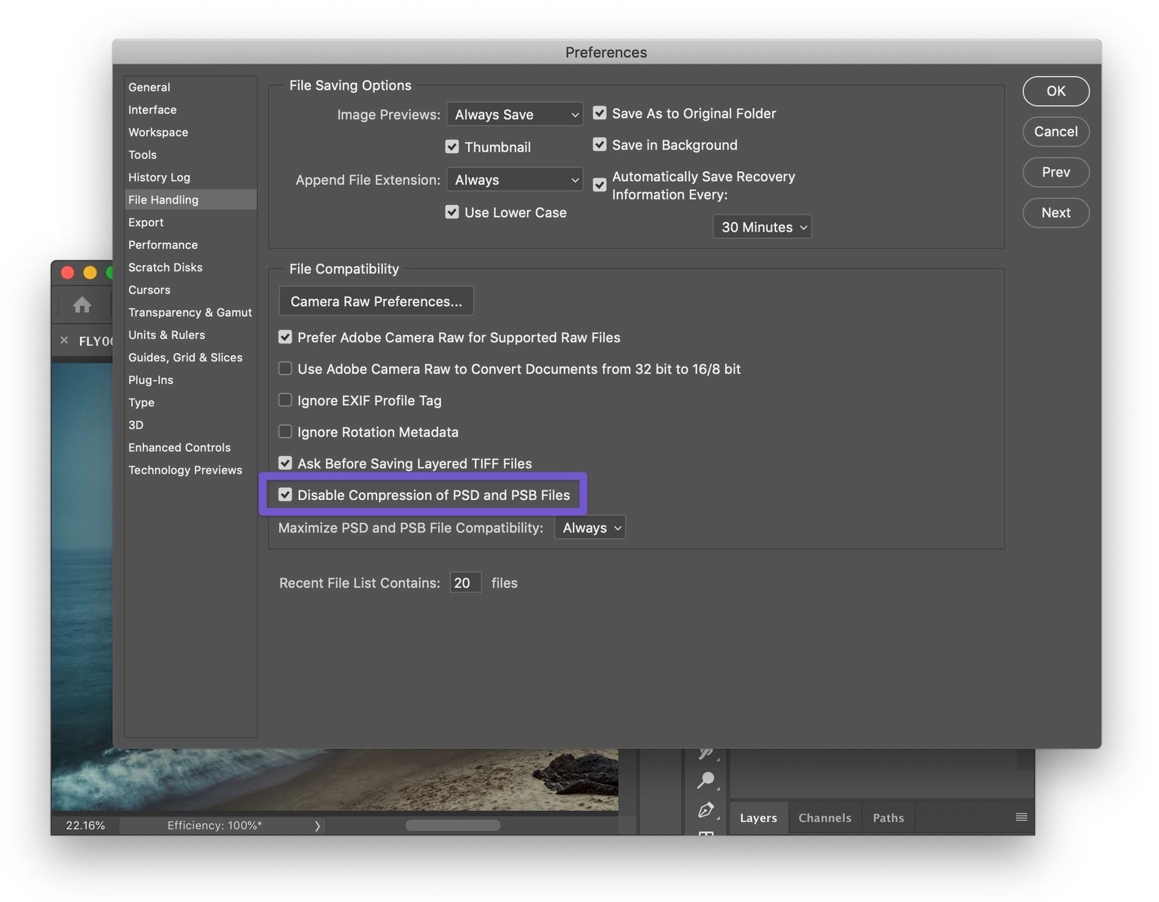 Screenshot: Disabling compression of PSD files