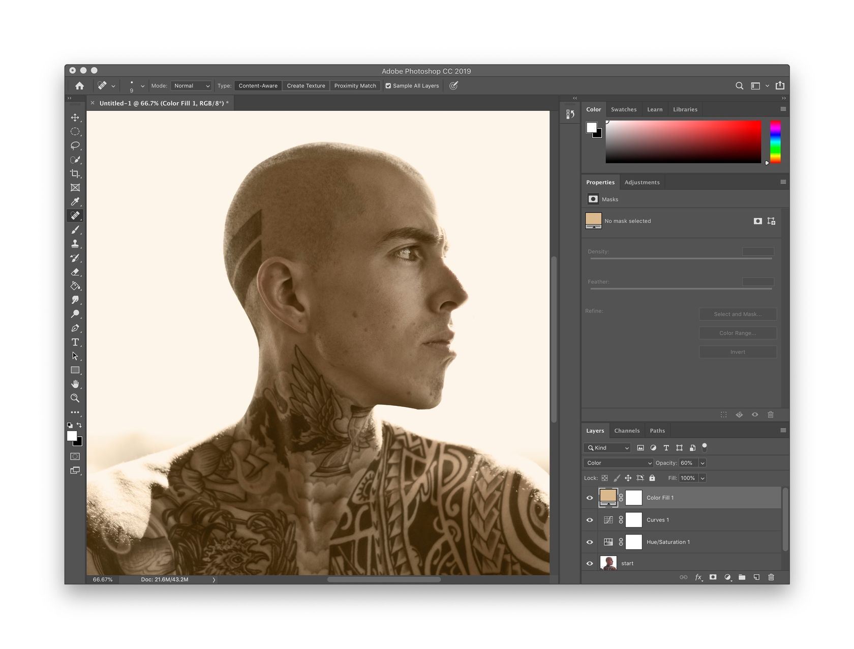 Screenshot: solid color adjustment for sepia tone color