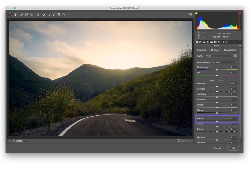 A Look at the Texture Slider in Lightroom and Camera Raw • Giggster Guide