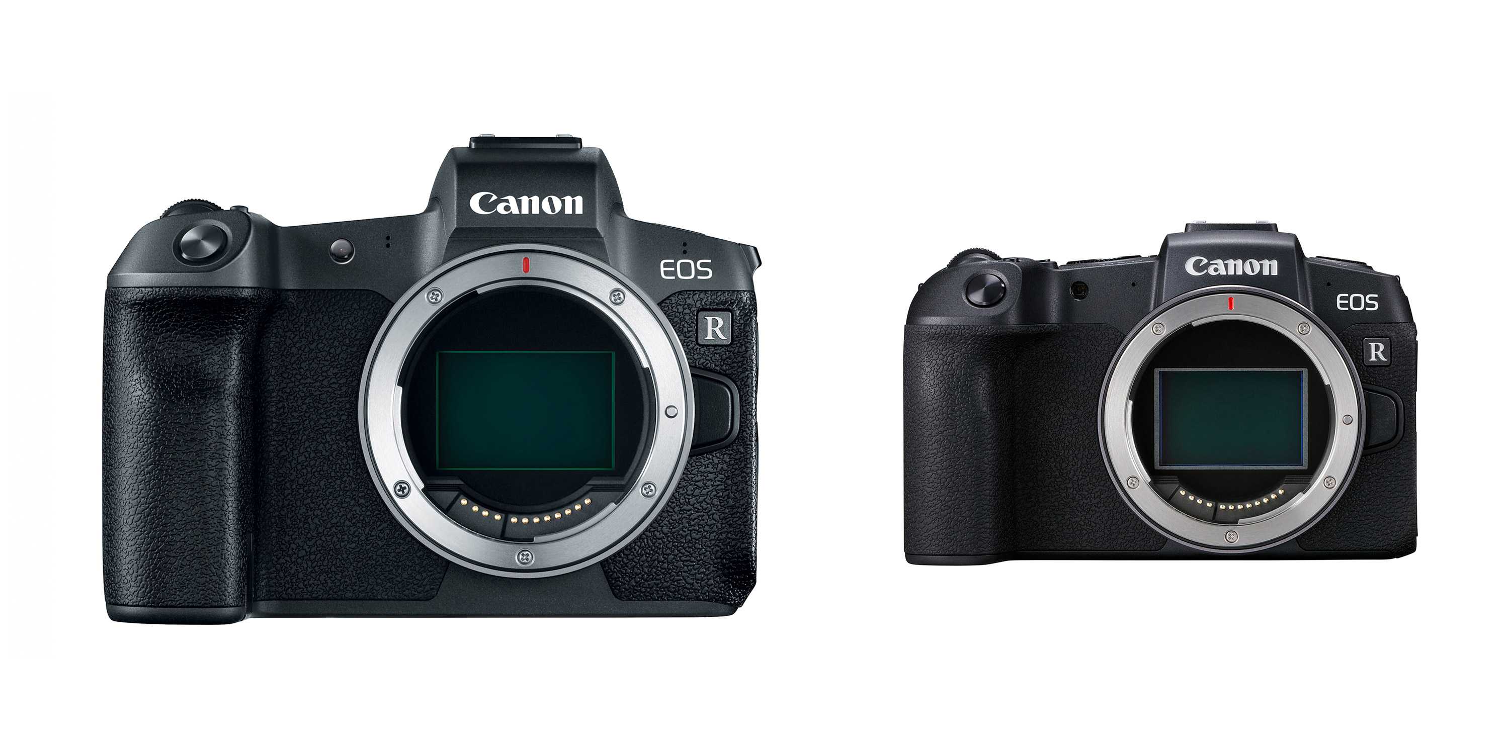 Canon EOS R vs RP cover image
