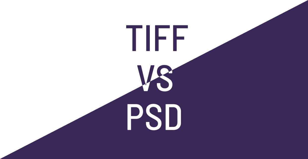 TIFF vs PSD, Which File Format to Use for Photography? cover image