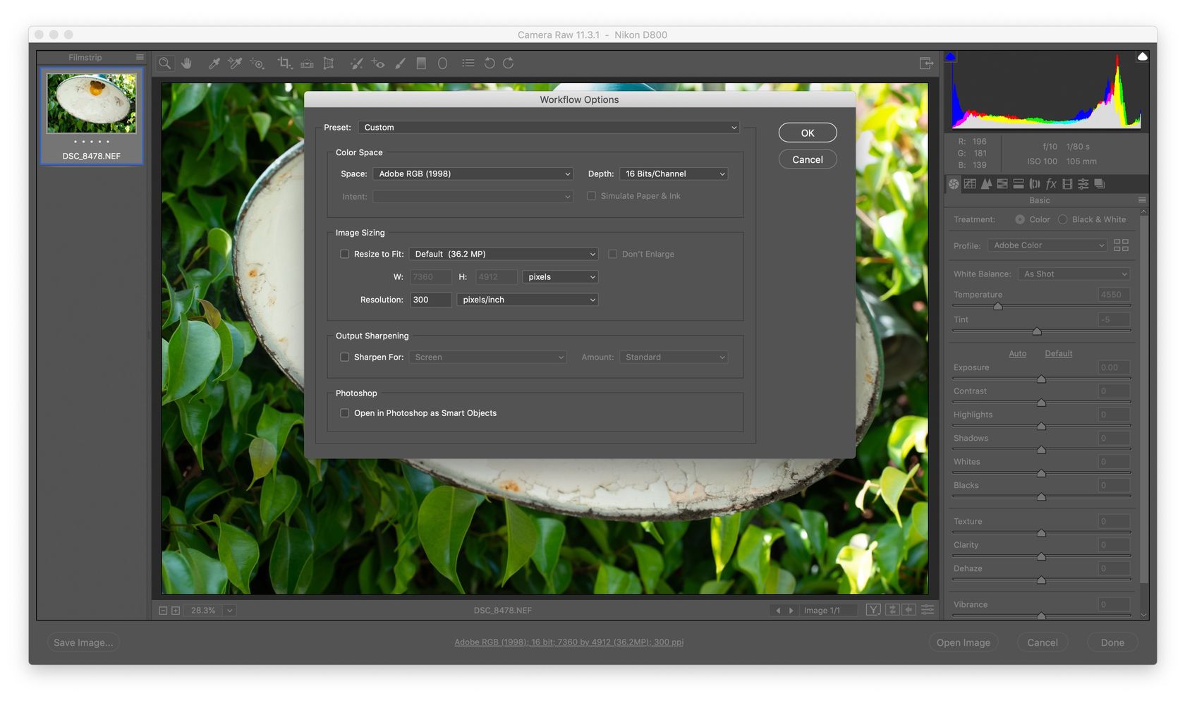 Camera Raw color space settings