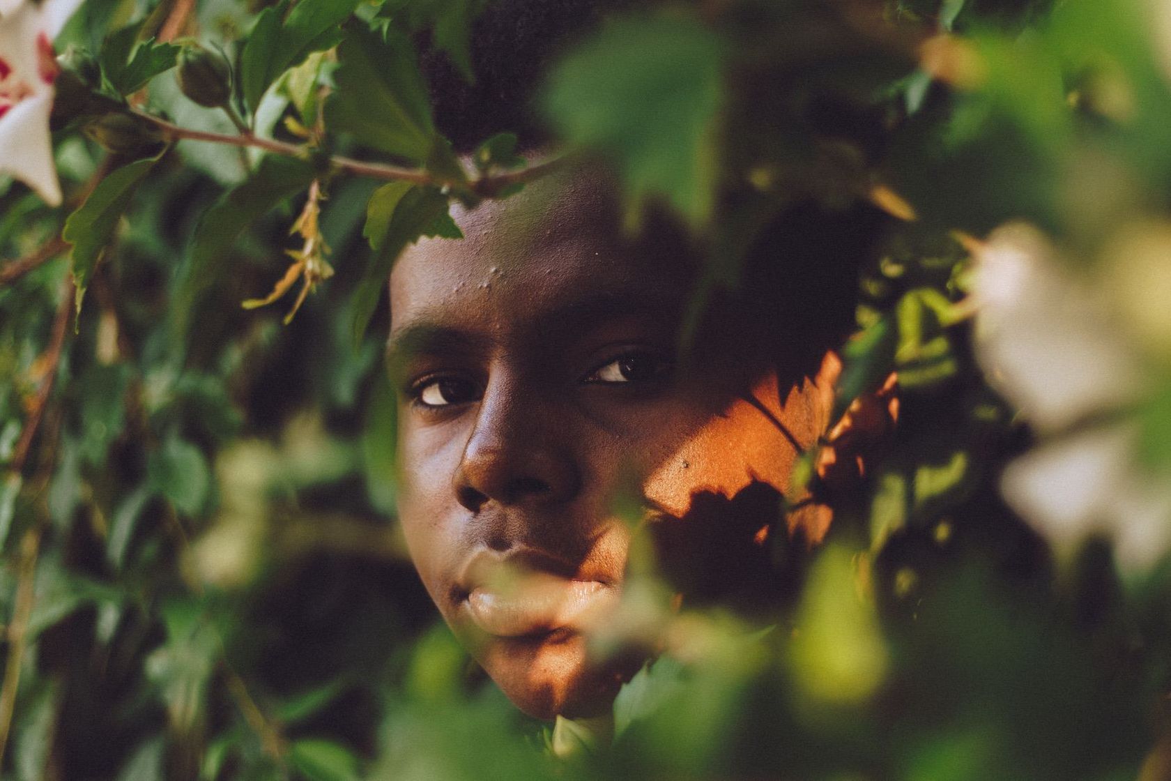 Shooting through leaves