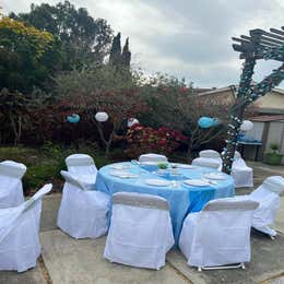 Table chair covers