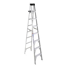 Ladder (large) 12ft