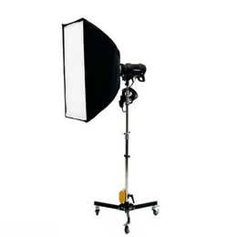 Profoto D2 500 with Softbox(36x24) + Rolling Stand
