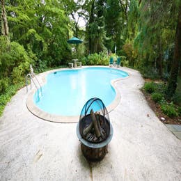 Pool and Pool House