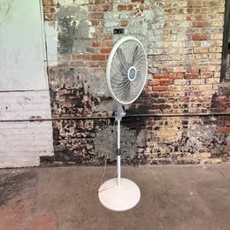 Pedestal Fan