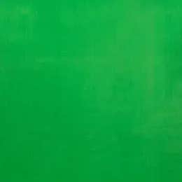 Green Screen Tarp