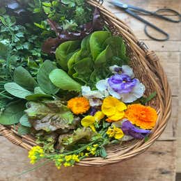 Garden Harvest Prop Basket