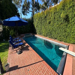 Heated Swimming Pool Rental price per day