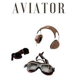 Goggles / Ear Protection