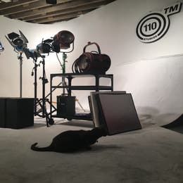 Live Events Stage
