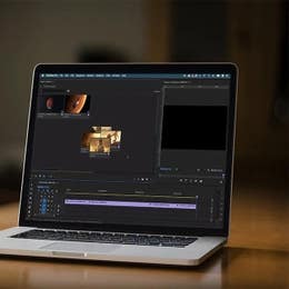 Editing and Distribution