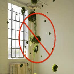 Removal of Installation (4+ Hours)