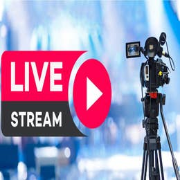 Live Stream Service 