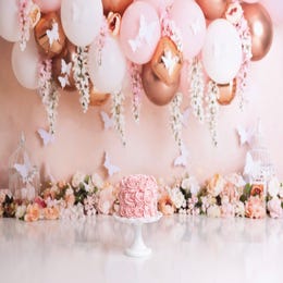 Pink Butterfly Backdrop