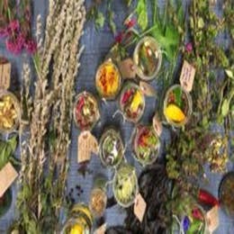 Botanical Gin Foraging at Penhein