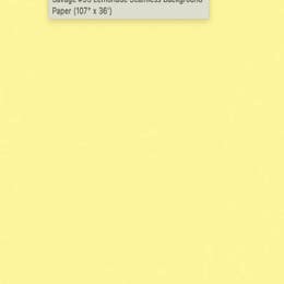  #93 Lemonade Seamless Background Paper 107" x 36'