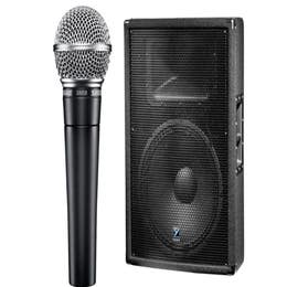 Speaker and mic