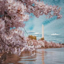 The Monumental Lounge Package