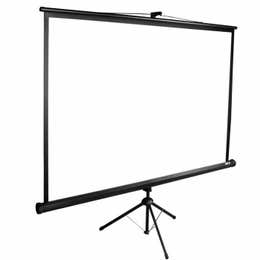 Projector Screen
