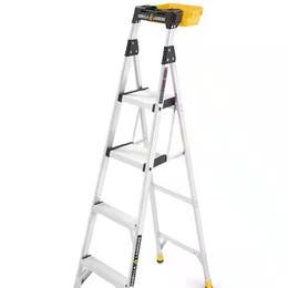 Ladder