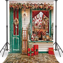 Holiday Winter Backdrop