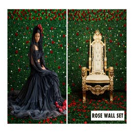 Rose Wall set