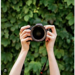 sony camera
