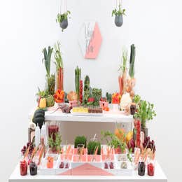 9) Vegetarian Package "A" (~15-30 people)