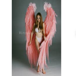 Giant Pink Angel Wings