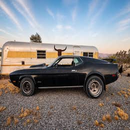 1972 Mustang Mach 1 - Photo Prop