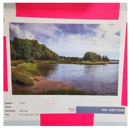 Large printed backdrop "scene" (nature, city etc).