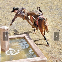 SAG Stuntman Coordinator/ Wrangler/Horses/Actor