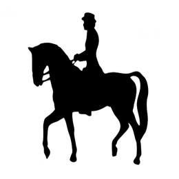 Guided Horseback Riding
