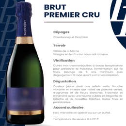 Bouteille de Champagne 750ML - Brut Premier Cru