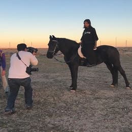 Horses for film and shoots