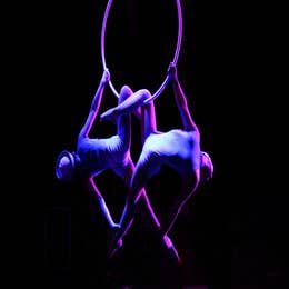 Live Cirque Performer (Party Add-Ons)