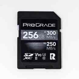 PROGRADE DIGITAL 256GB V90