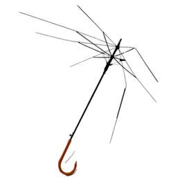 Black Umbrella Frame