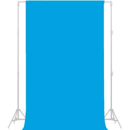 Back Drop - Blue Jay