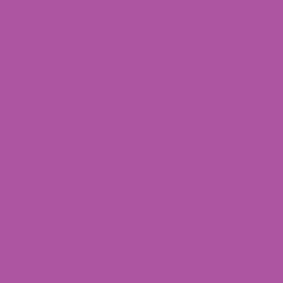 Backdrop — Boysenberry — Seamless